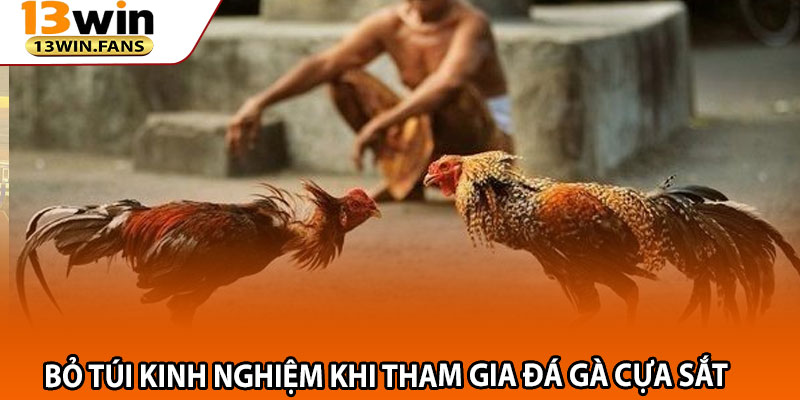 Bỏ Túi Kinh Nghiệm Khi Tham Gia Đá Gà Cựa Sắt