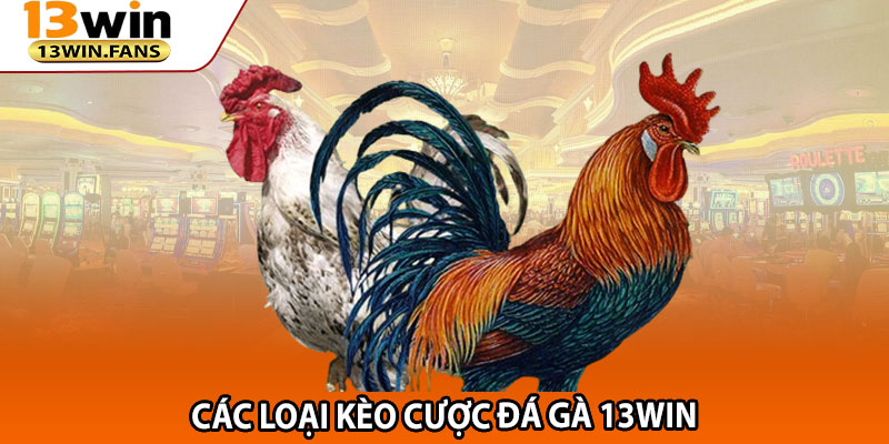 Các loại kèo cược đá gà 13win
