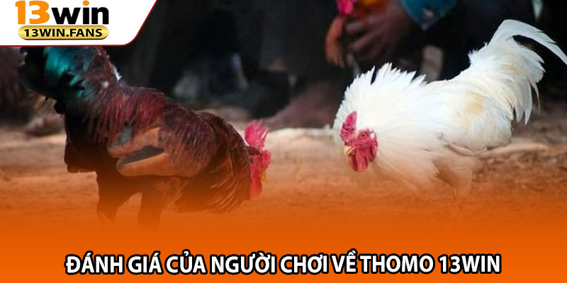 Đánh Giá Của Người Chơi Về Thomo 13win