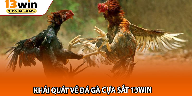 Khái quát về Đá Gà Cựa Sắt 13win