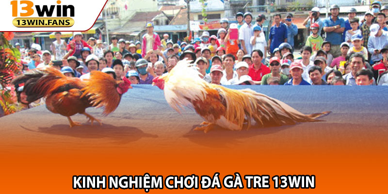 Kinh Nghiệm Chơi Đá Gà Tre 13win