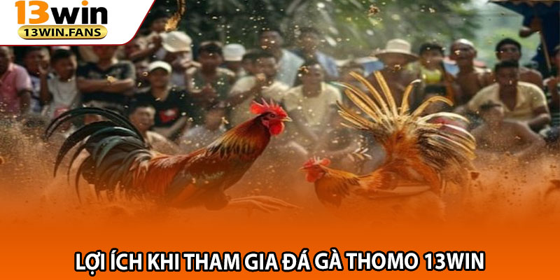 Lợi Ích Khi Tham Gia Đá Gà Thomo 13win