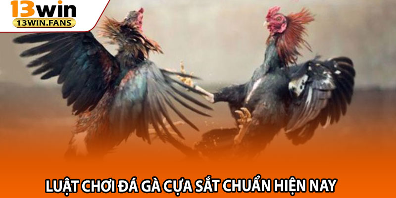 Luật Chơi Đá Gà Cựa Sắt Chuẩn Hiện Nay