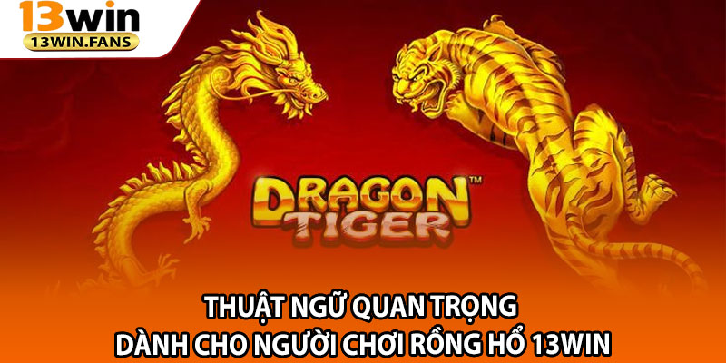Thuật Ngữ Quan Trọng Dành Cho Người Chơi Rồng Hổ 13win