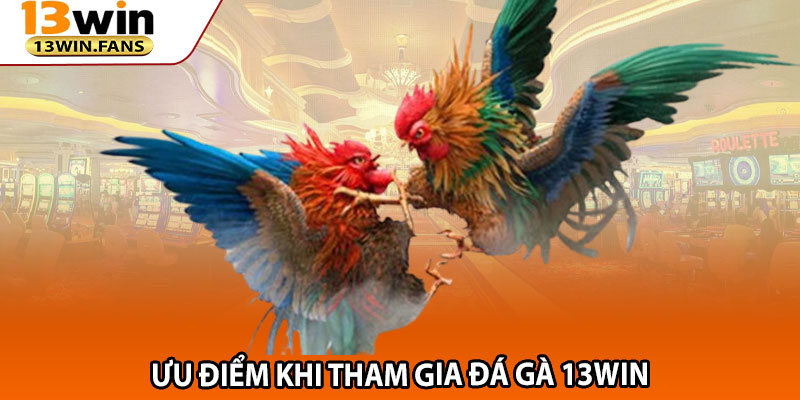 Ưu điểm khi tham gia đá gà 13win